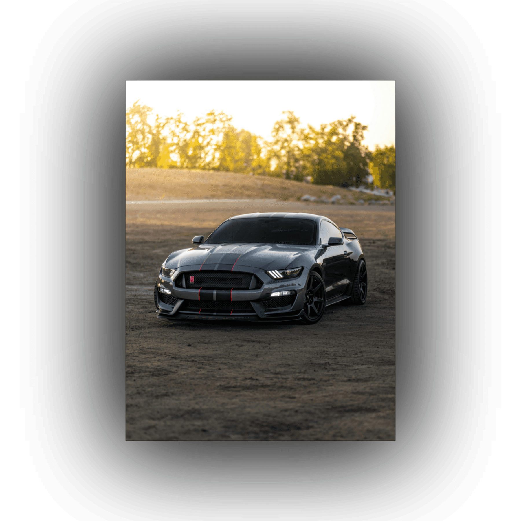 MUSTANG CANVAS